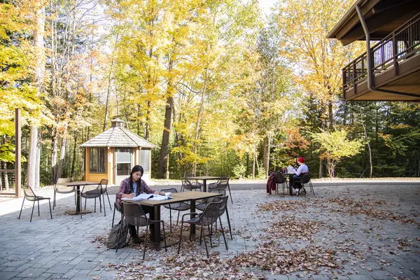 students studying outside on patio, fall