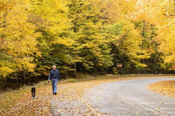 A senior walking a dog at the Nicolet College campus in the fall.