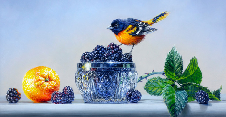 painting of a blue bird, Rebecca Korth, Oriole, Orange & Blackberries, Oil