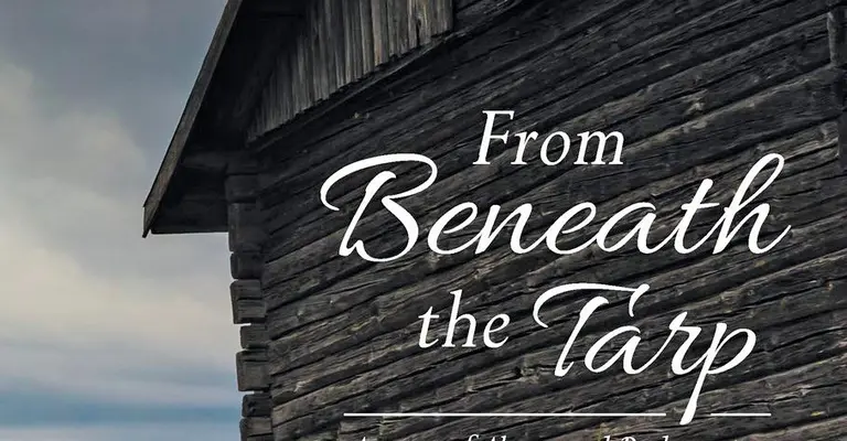 Old wooden barn under cloudy sky flanked by greenery serving as a bookcover.