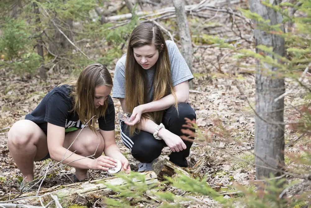 girls collecting samples in woods