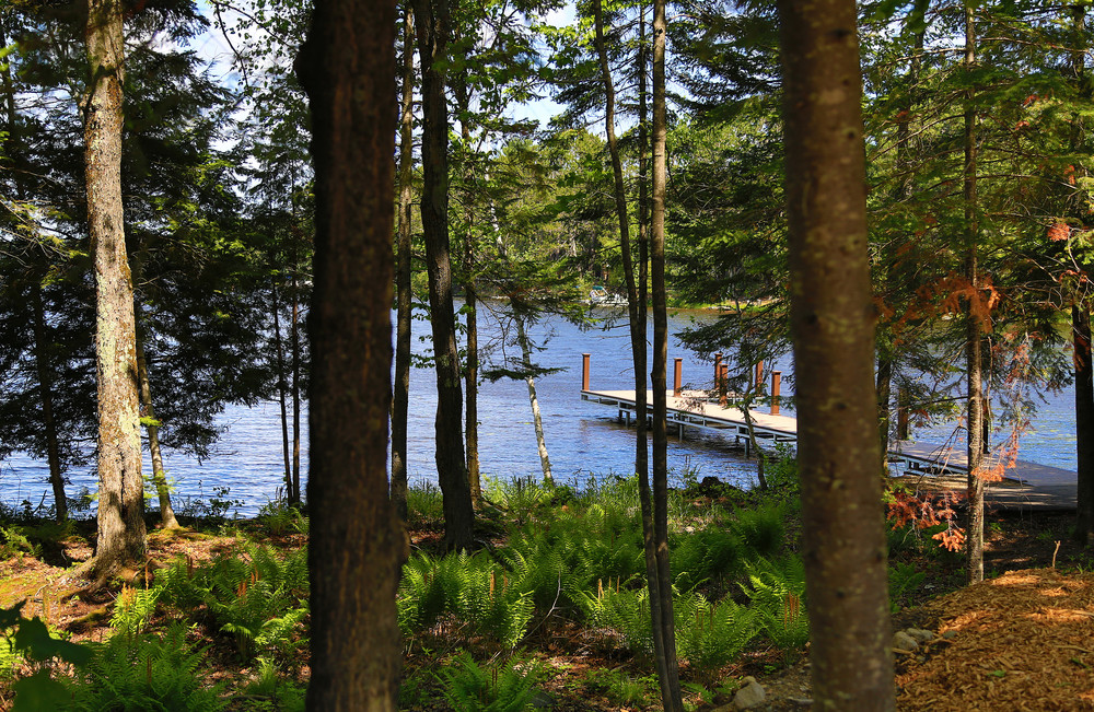 View of dock through trees