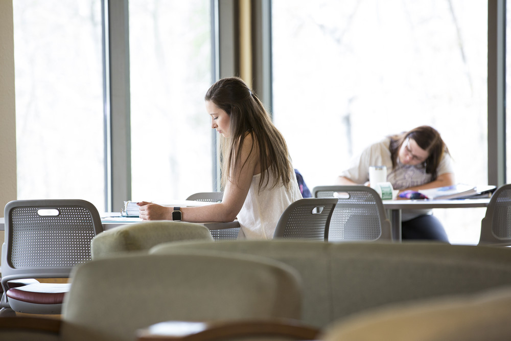 Girl studying in student lounge