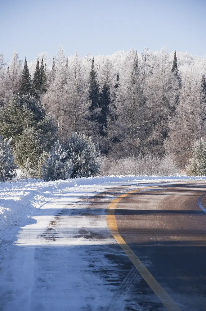 Campus drive at winter