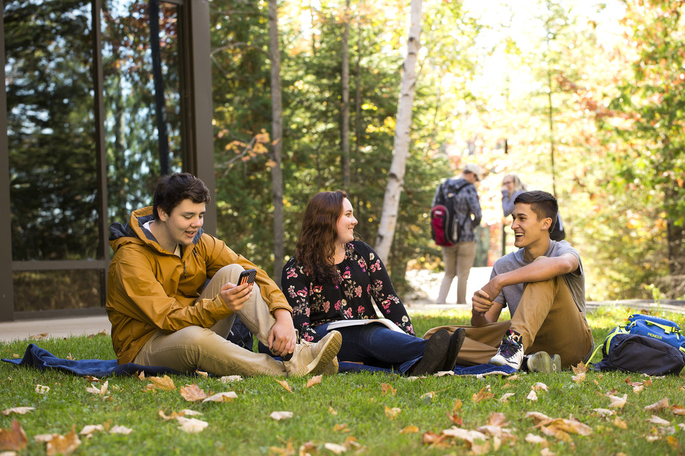 Students studying on the lawn