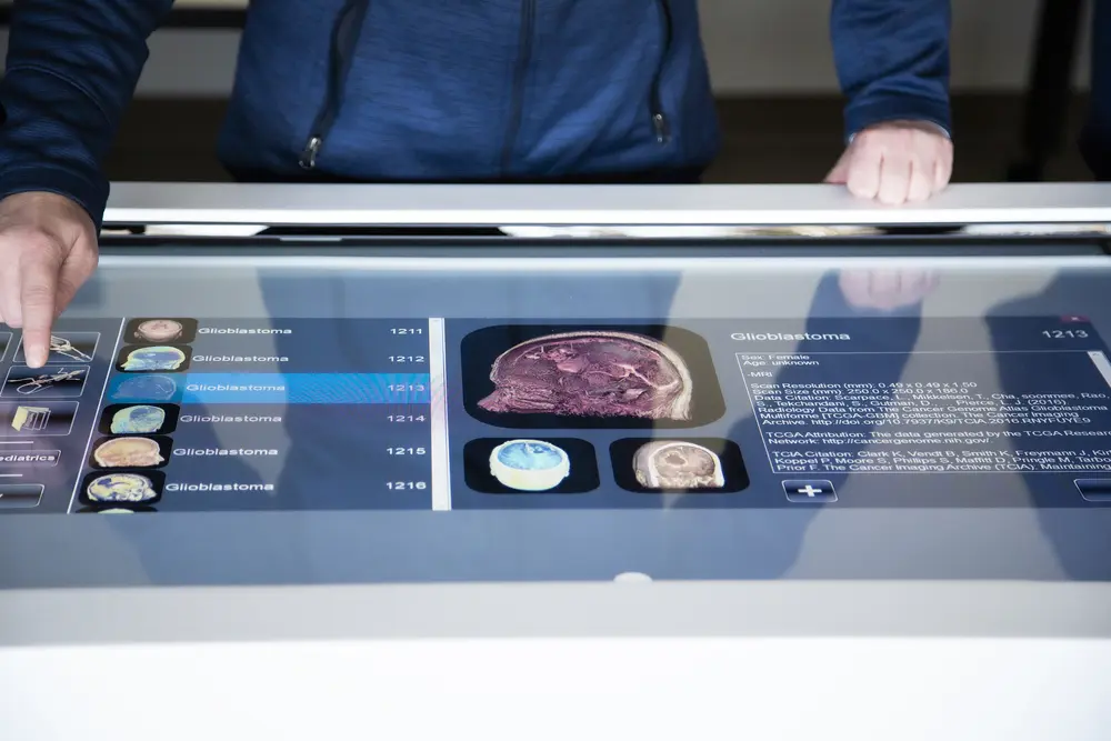 anatomage table closeup