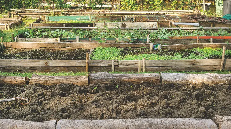 permaculture-veggiegardenprep