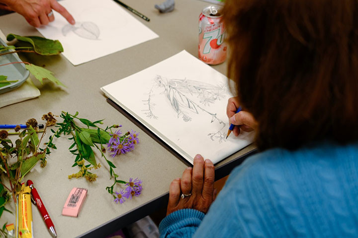 woman drawing flowers on paper