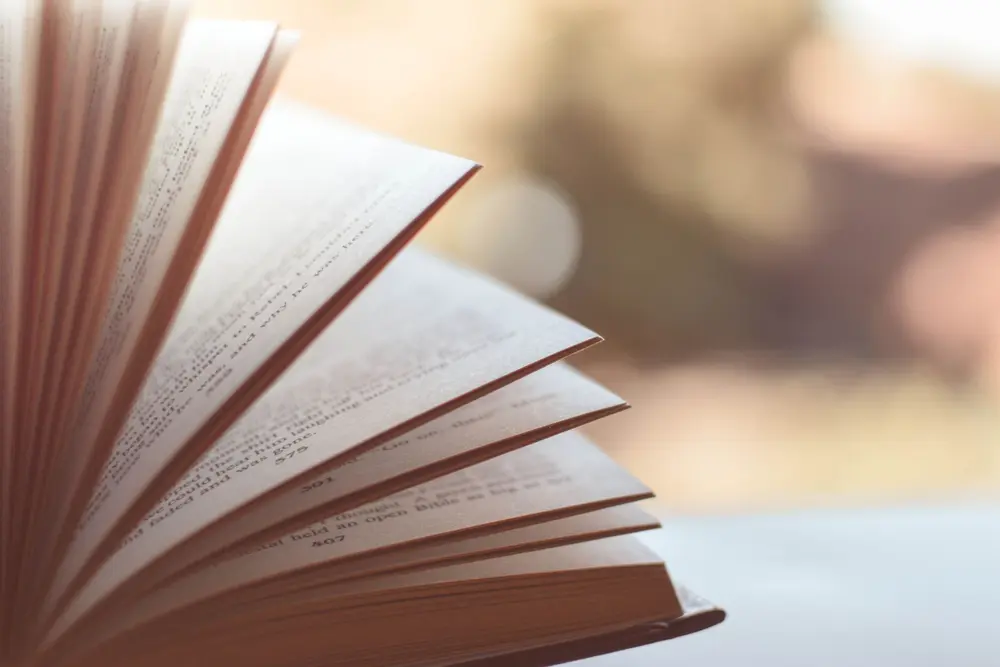 Book with pages fanned