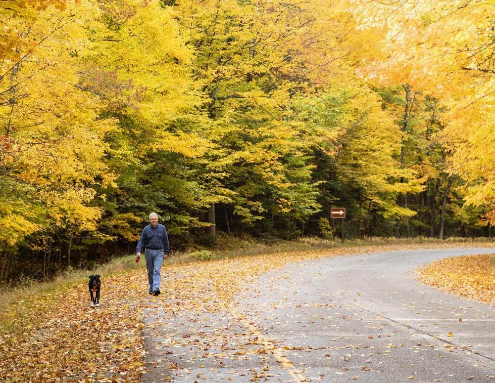 A senior walking a dog at the Nicolet College campus in the fall.