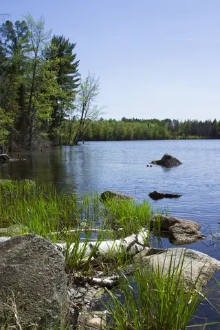 Lake at springtime