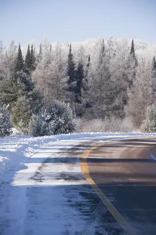 Campus drive at winter