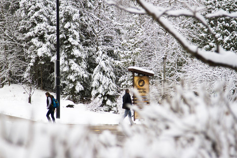 snowy landscape of campus in winter