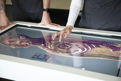 anatomage table with hands touching the screen