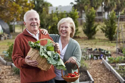 two older adults picking vegetables in garder