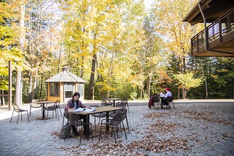 students studying outside on patio, fall