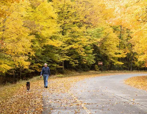 A senior walking a dog at the Nicolet College campus in the fall.