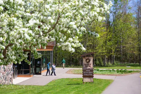 Spring scene with blooming tree, pathway, people walking, and park entrance sign.