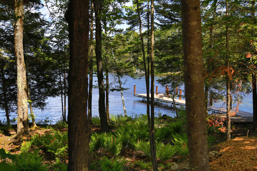 View of dock through trees