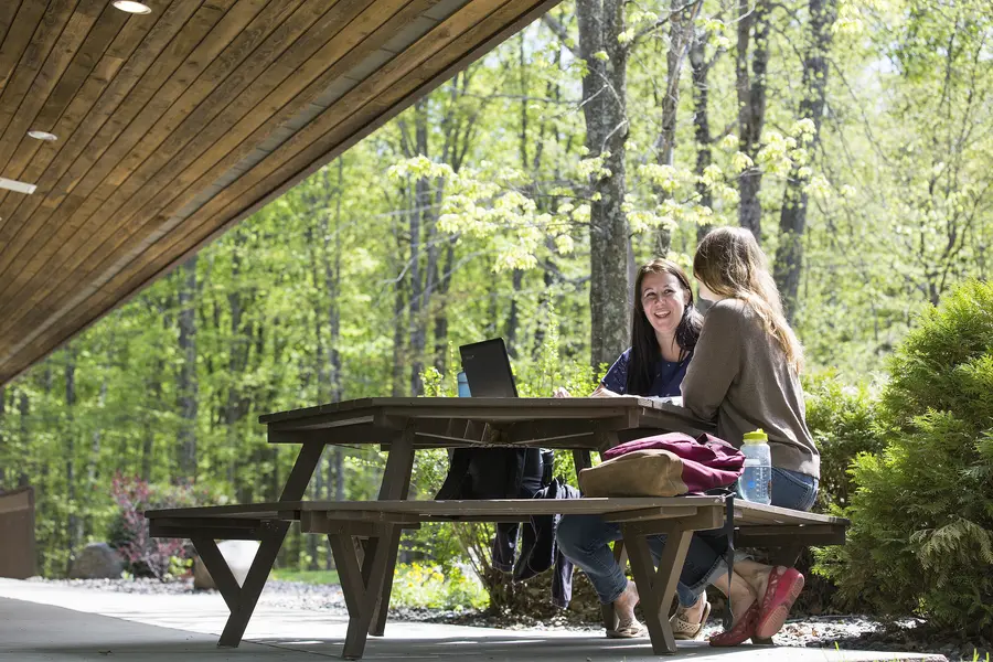 two students studying at picnic table
