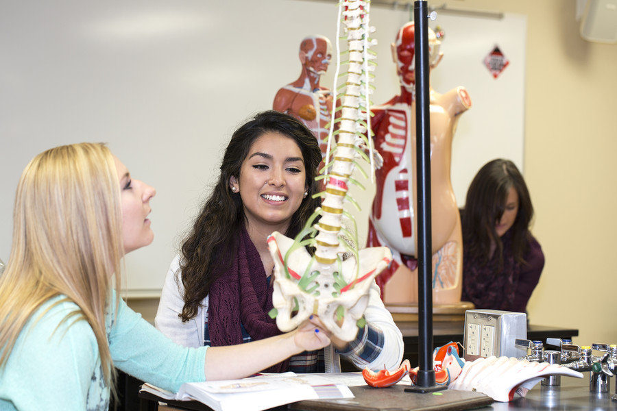 Anatomy students in lab