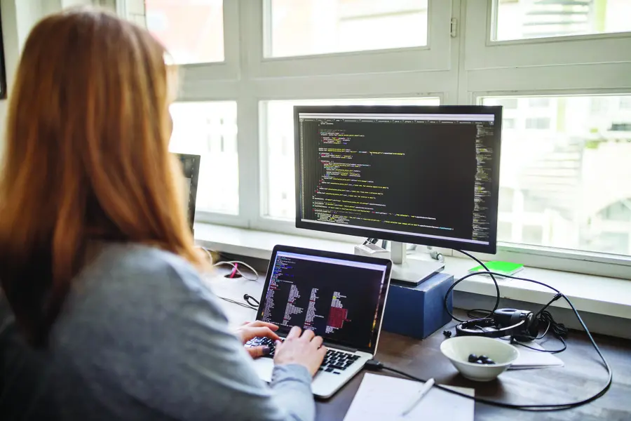 Software developer