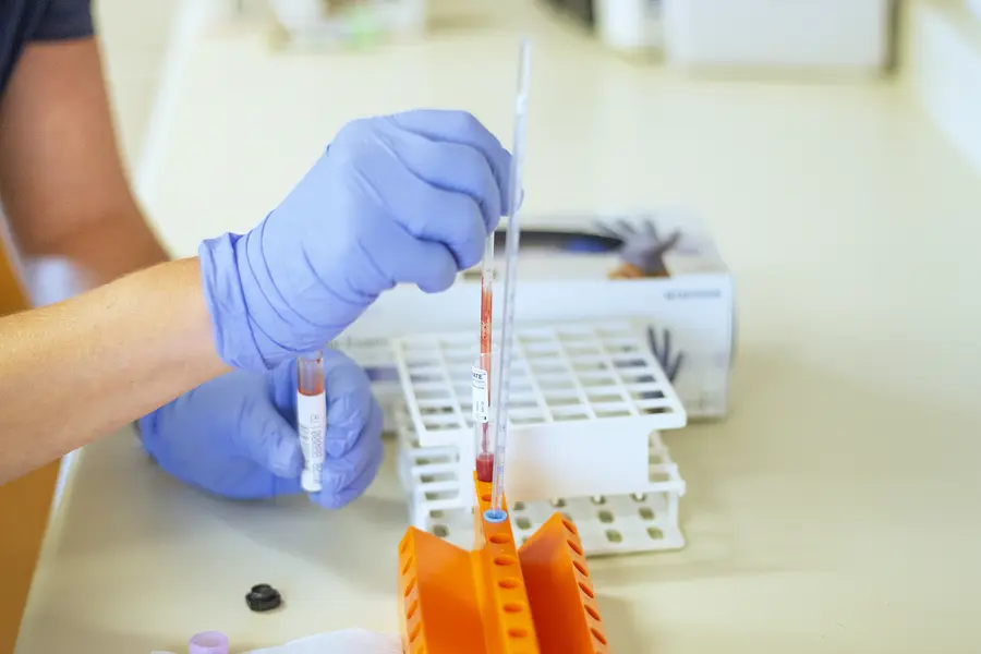 Gloved hands handling blood test tubes on a counter.